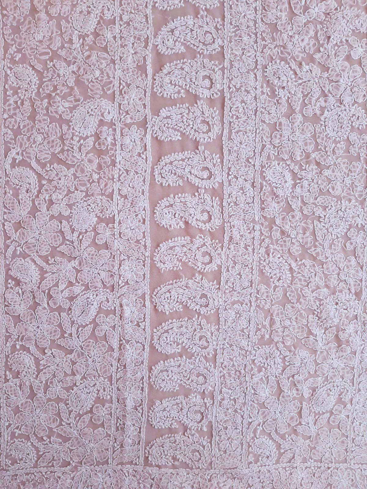 Baby Pink Noor Full Jaal Hand Embroidered Lucknowi Chikankari Saree