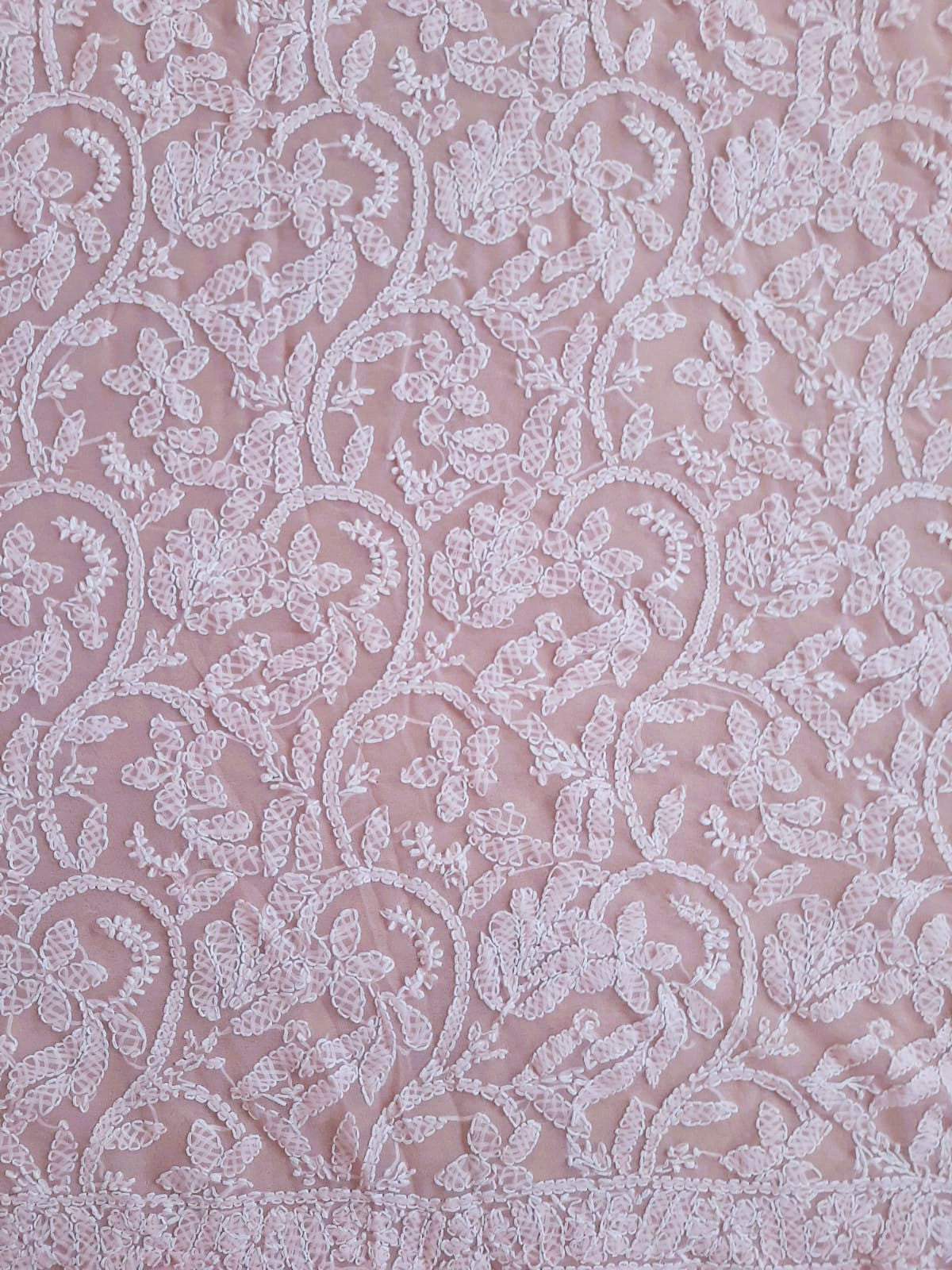 Baby Pink Noor Full Jaal Hand Embroidered Lucknowi Chikankari Saree