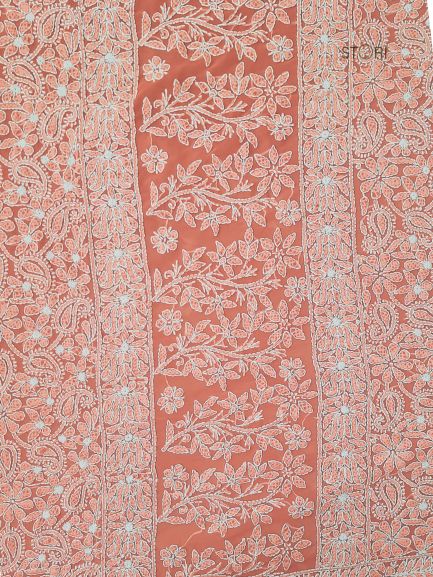 Carrot Pink Noor Full Jaal Hand Embroidered Lucknowi Chikankari Saree