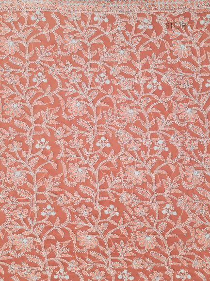 Carrot Pink Noor Full Jaal Hand Embroidered Lucknowi Chikankari Saree