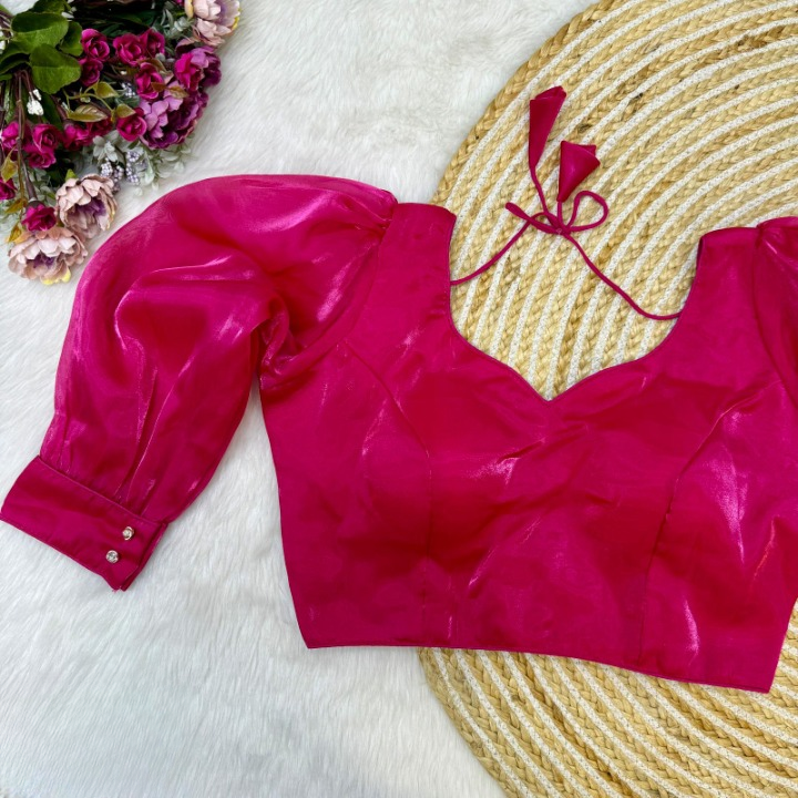 Bloomimg Organza Long Sleeves Solid Color Designer Blouse