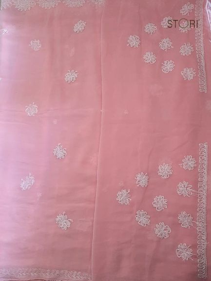 Peach Surya Hand Embroidered Lucknowi Chikankari Saree