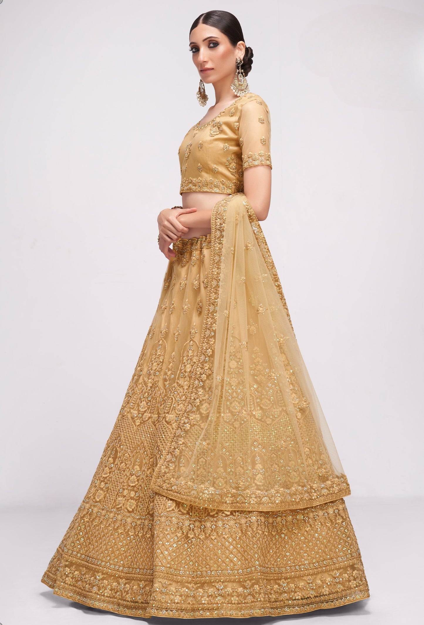 Golden Brown Embroidered Net Lehenga