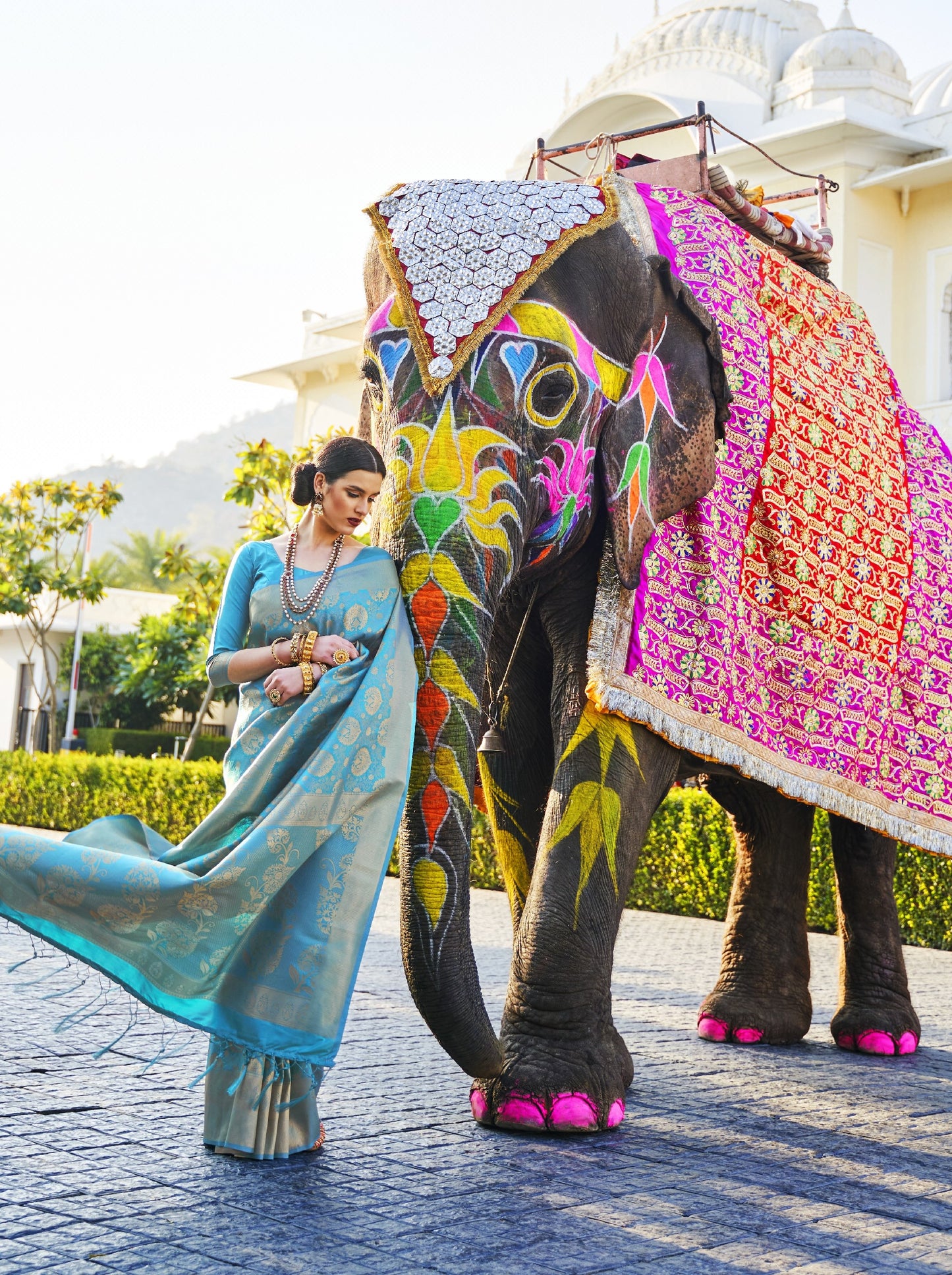 Moonstone Blue Kanjivaram Silk Saree