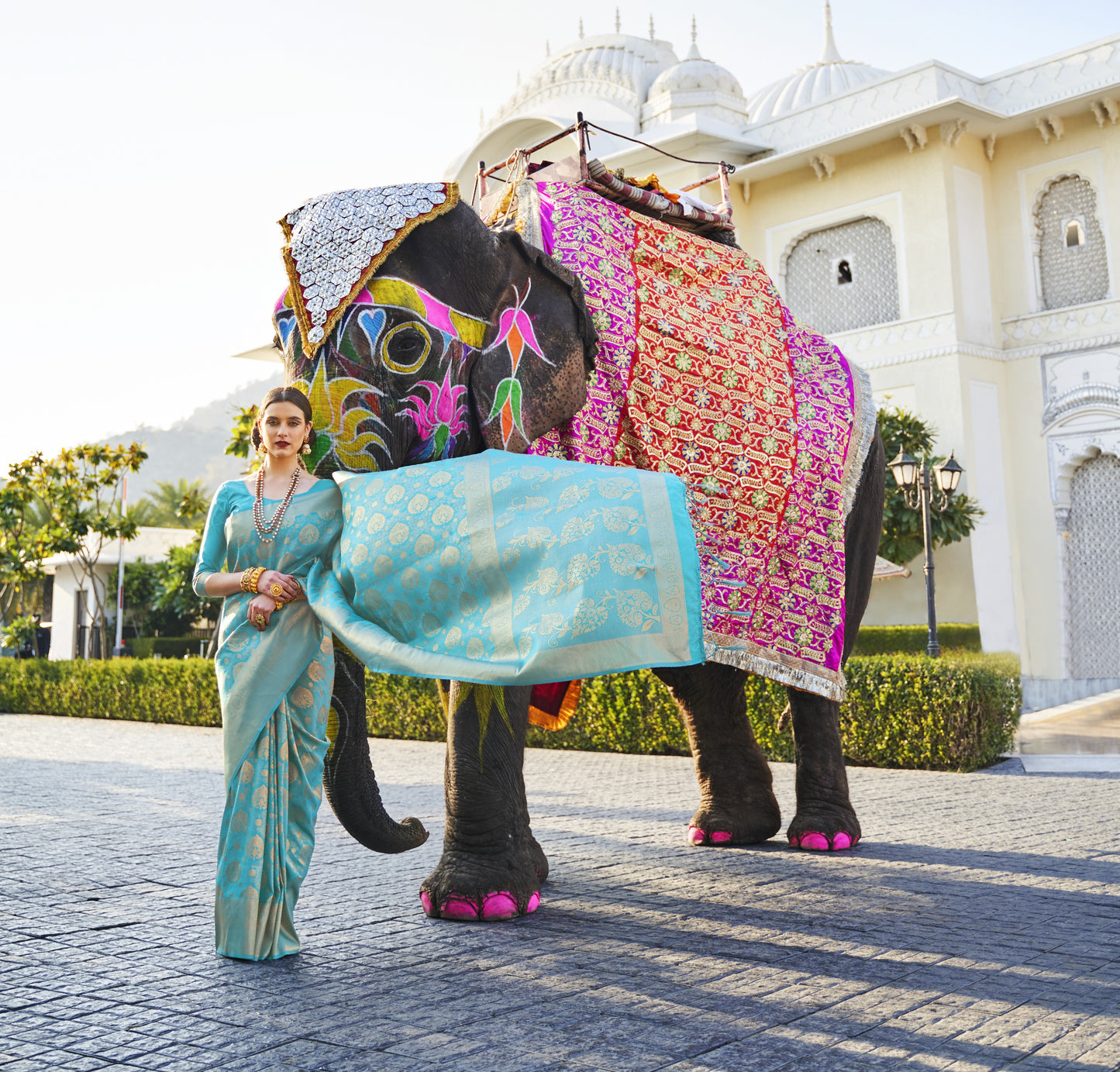 Moonstone Blue Kanjivaram Silk Saree