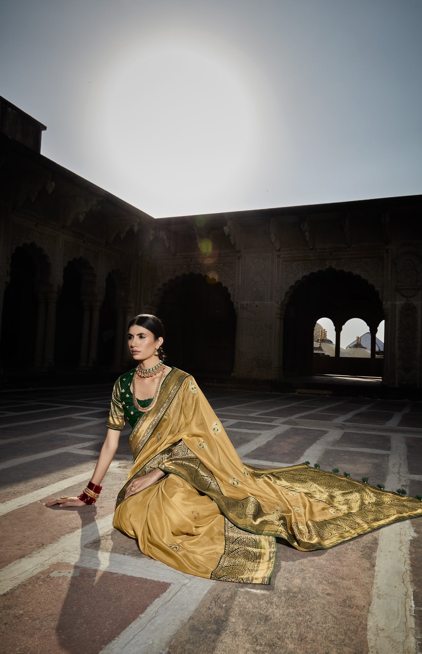 Buff Shimmer Silk Saree With Designer Blouse