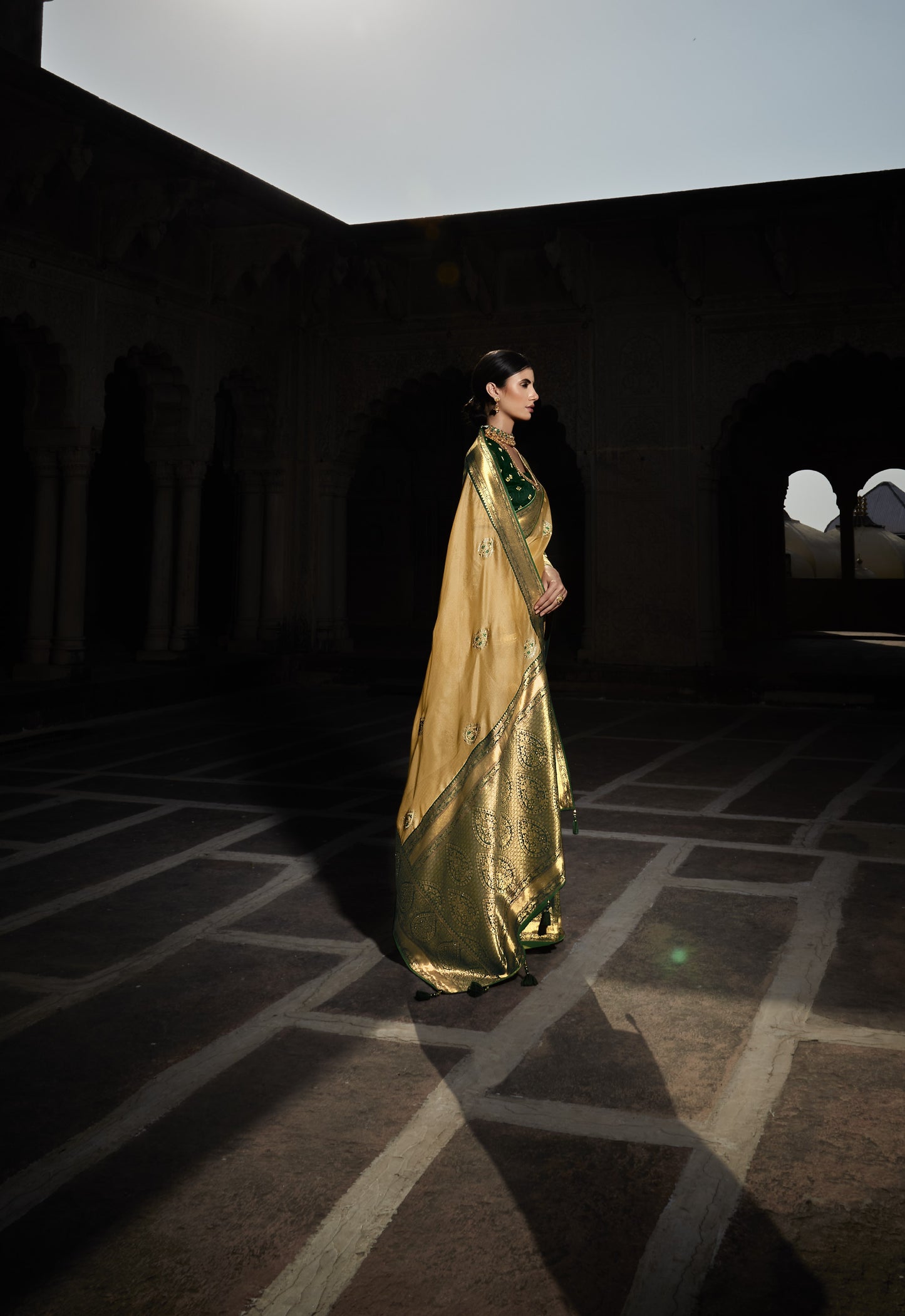 Buff Shimmer Silk Saree With Designer Blouse