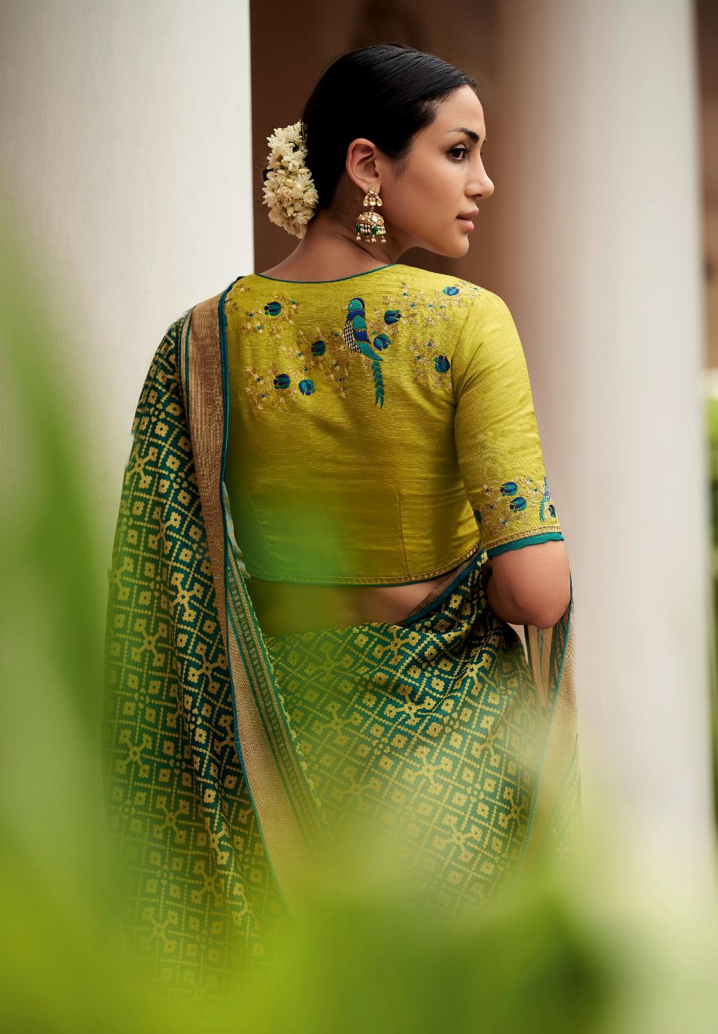 Apple Green & Dark Green Brasso Silk Saree With Embroidered Blouse