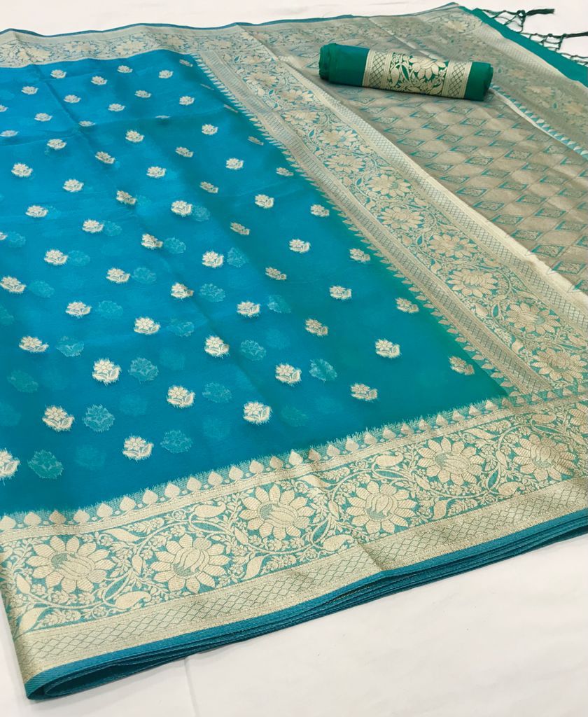 Sheer Turquoise Organza Silk Saree