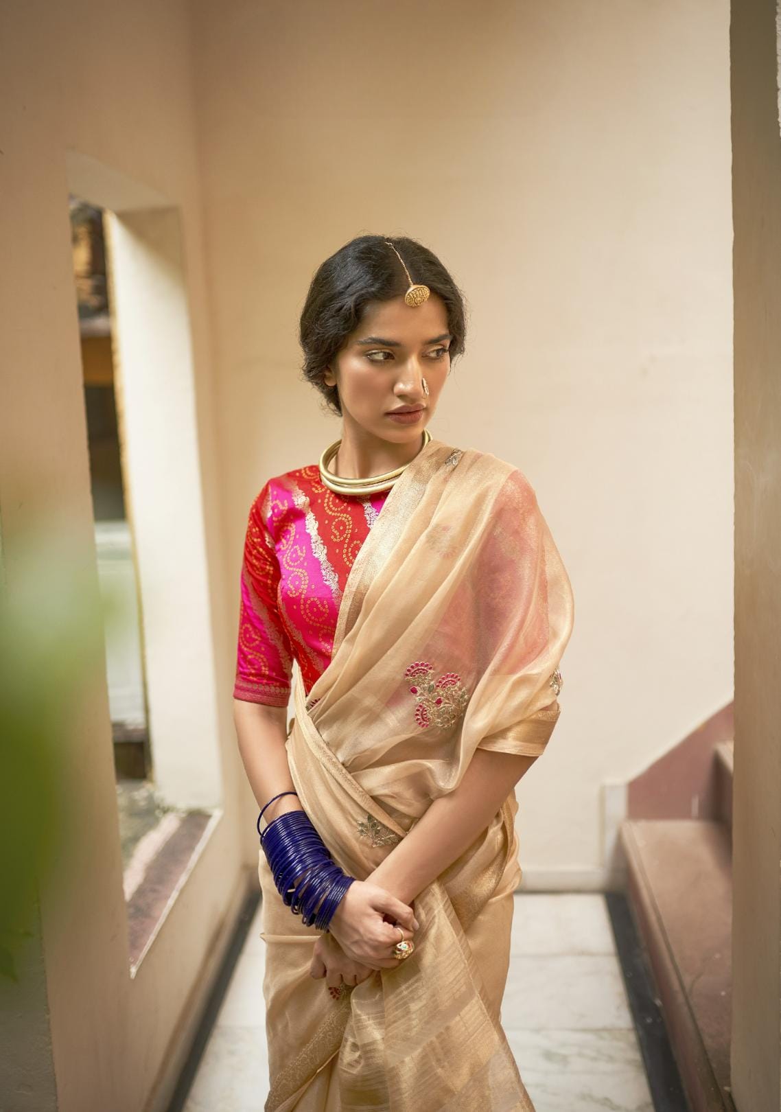 Pale Brown Embroidered Organza Silk Saree