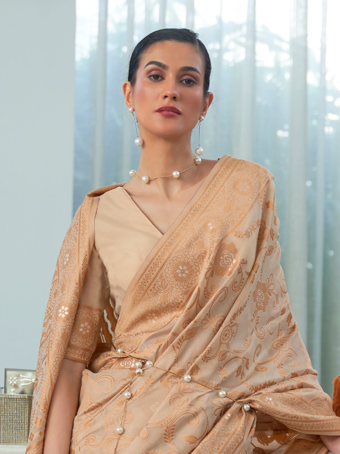 Chikoo Brown Weaved Lucknowi Chikankari Saree