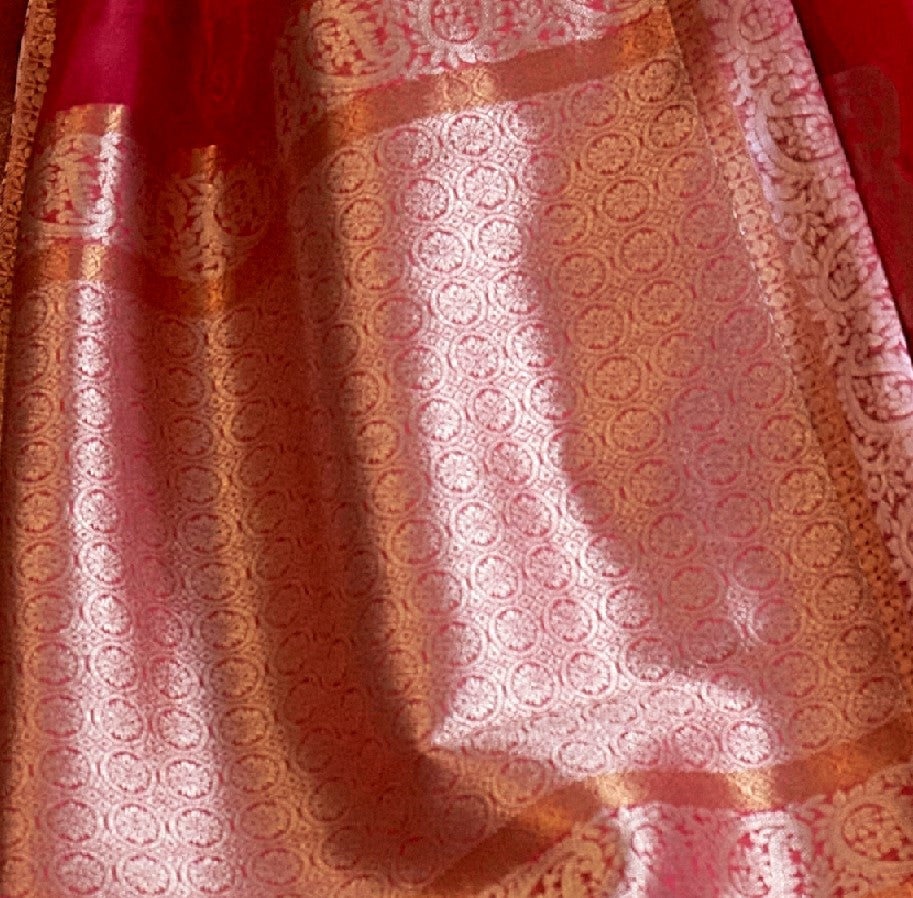 Tangerine Red Organza Silk Handloom Saree With Sequins