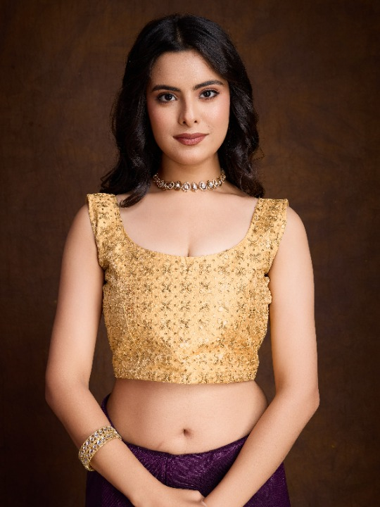 Buy Brown Partywear Sarees Online at STORI