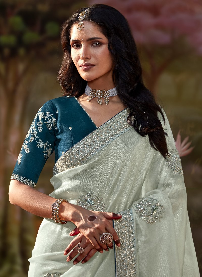 Pastel Mint Green Tissue Silk Saree With Embroidered Designer Blouse