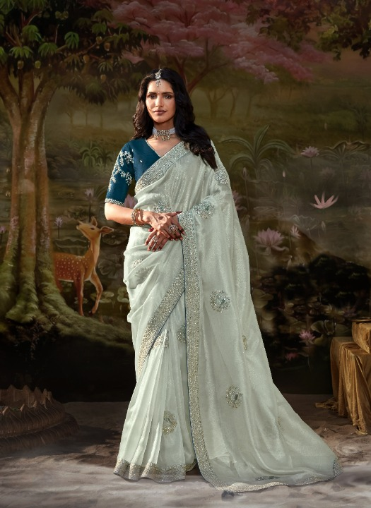 Pastel Mint Green Tissue Silk Saree With Embroidered Designer Blouse