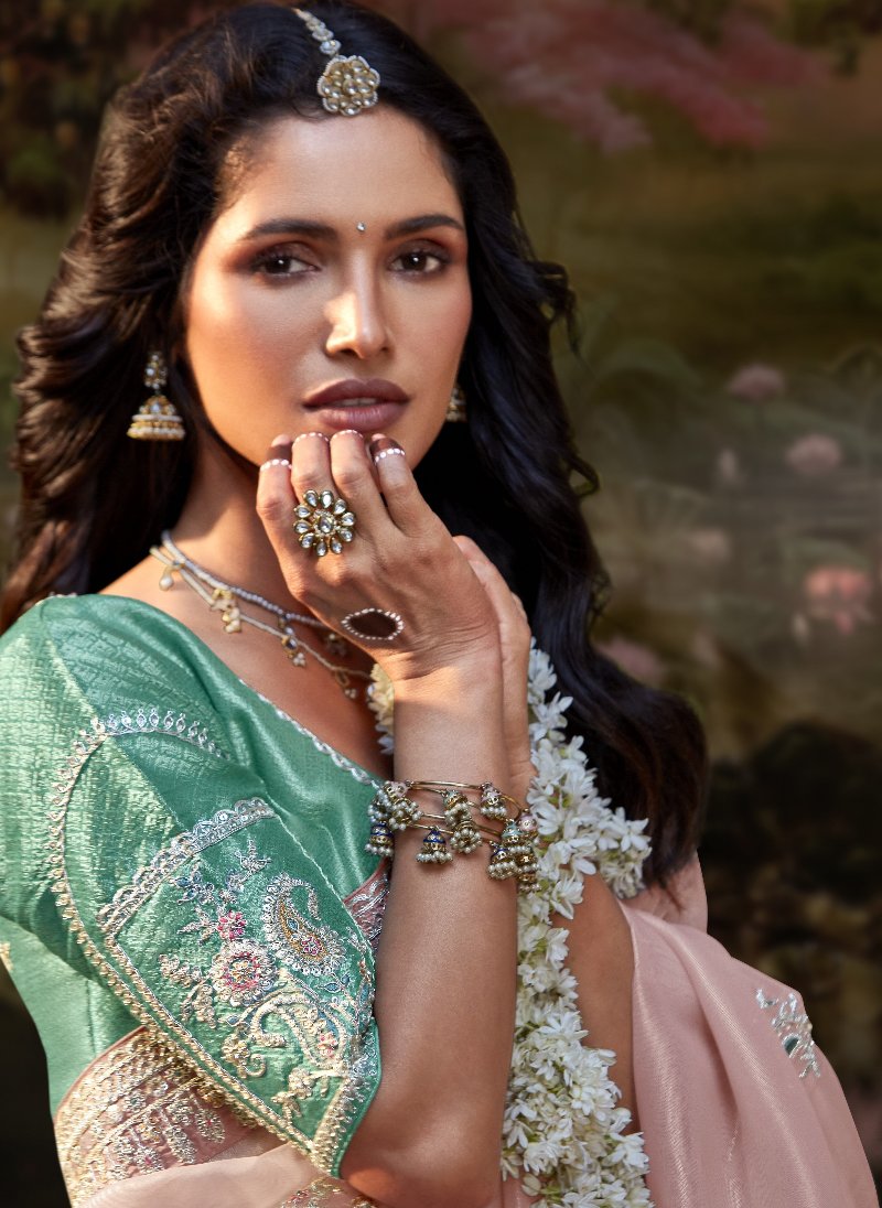 Pastel Pink Tissue Silk Saree With Embroidered Designer Blouse