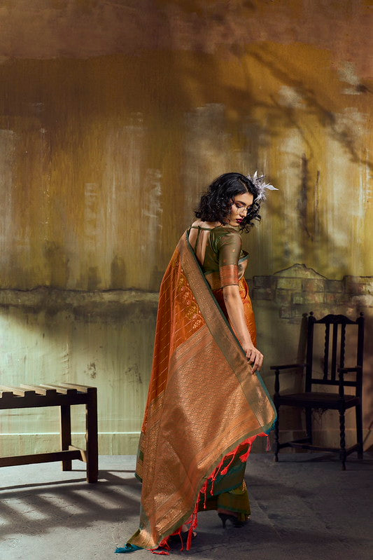 STORI Dual Orange Pochampally Handloom Silk Saree