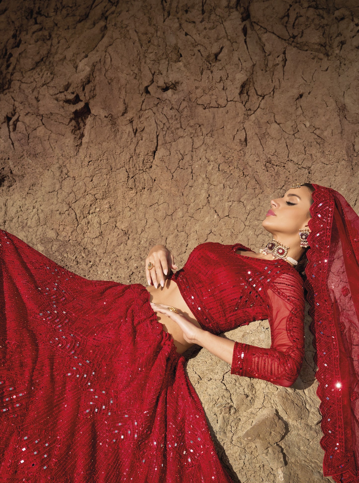 Bridal Red Embroidered Net Lehenga
