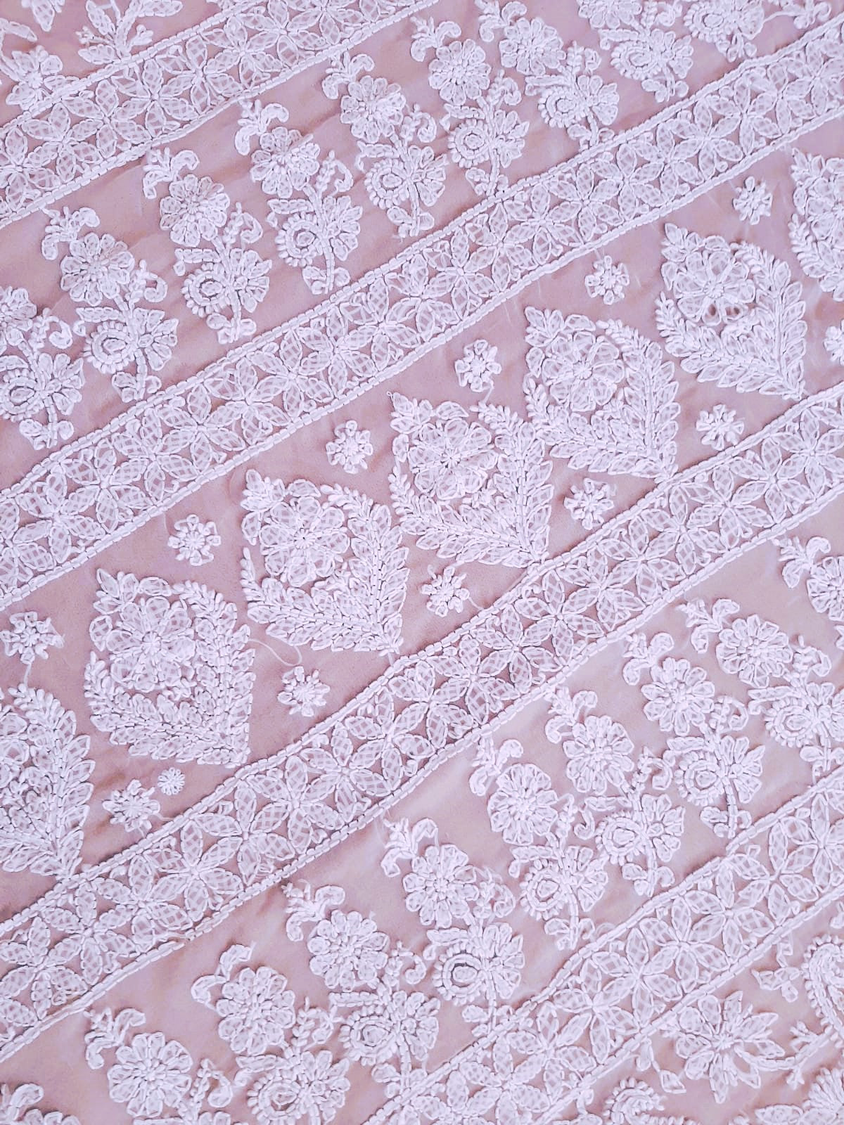 Baby Pink Noor Full Jaal Hand Embroidered Lucknowi Chikankari Saree
