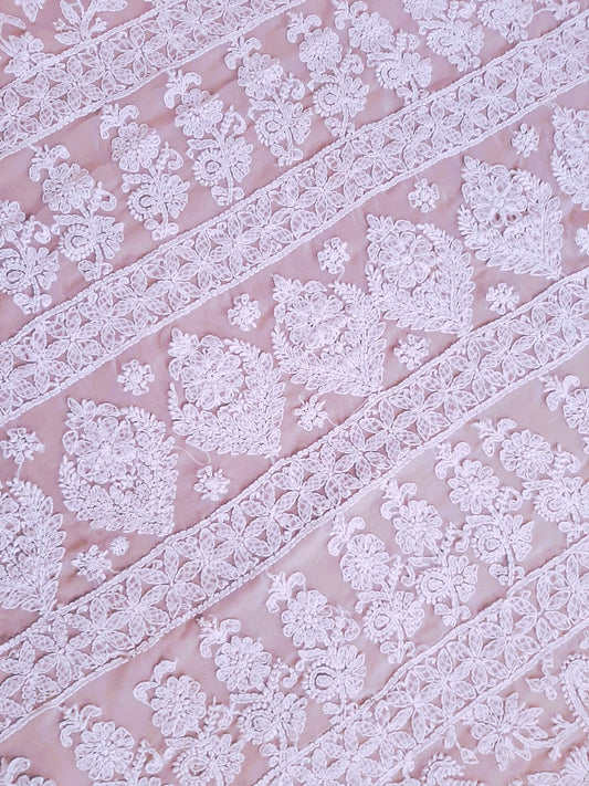 Baby Pink Noor Full Jaal Hand Embroidered Lucknowi Chikankari Saree