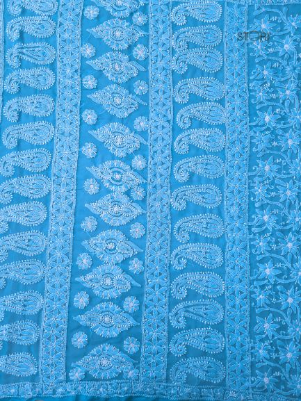 Sky Blue Full Jaal Hand Embroidered Lucknowi Chikankari Saree