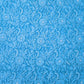 Sky Blue Full Jaal Hand Embroidered Lucknowi Chikankari Saree