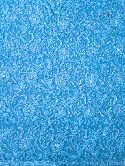 Sky Blue Full Jaal Hand Embroidered Lucknowi Chikankari Saree