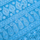 Sky Blue Full Jaal Hand Embroidered Lucknowi Chikankari Saree