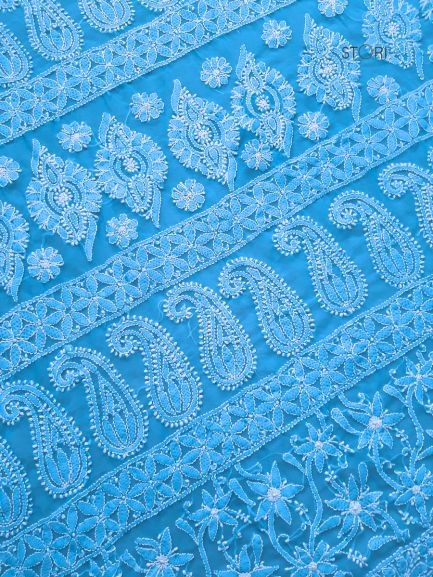 Sky Blue Full Jaal Hand Embroidered Lucknowi Chikankari Saree