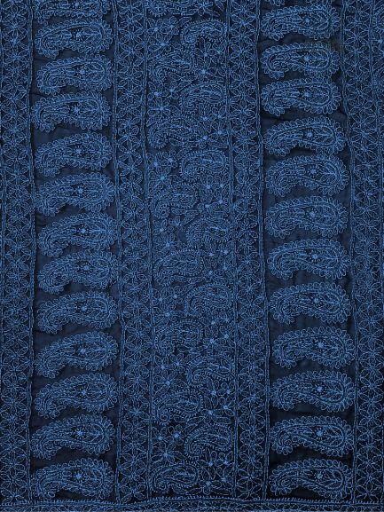 Navy Blue Noor Full Jaal Hand Embroidered Lucknowi Chikankari Saree
