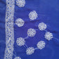 Royal Blue Noor Full Jaal Hand Embroidered Lucknowi Chikankari Saree