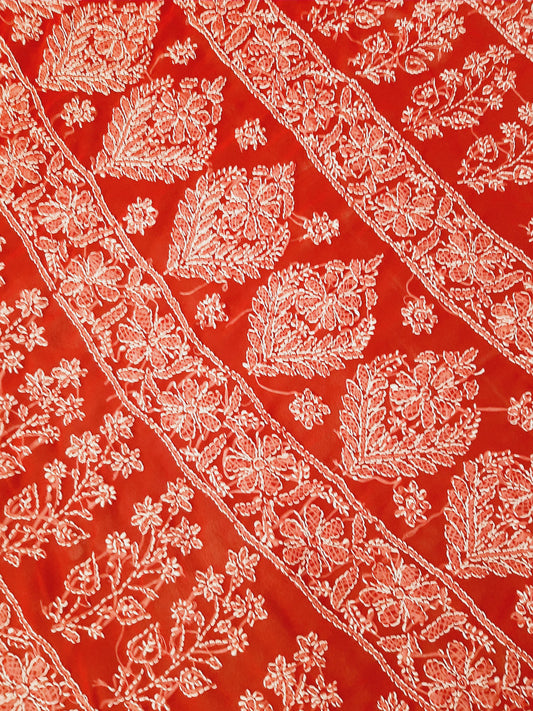 Red Noor Full Jaal Hand Embroidered Lucknowi Chikankari Saree