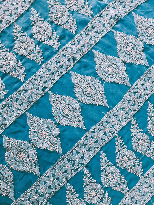 Sky Blue Noor Full Jaal Hand Embroidered Lucknowi Chikankari Saree