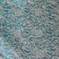 Sky Blue Noor Full Jaal Hand Embroidered Lucknowi Chikankari Saree