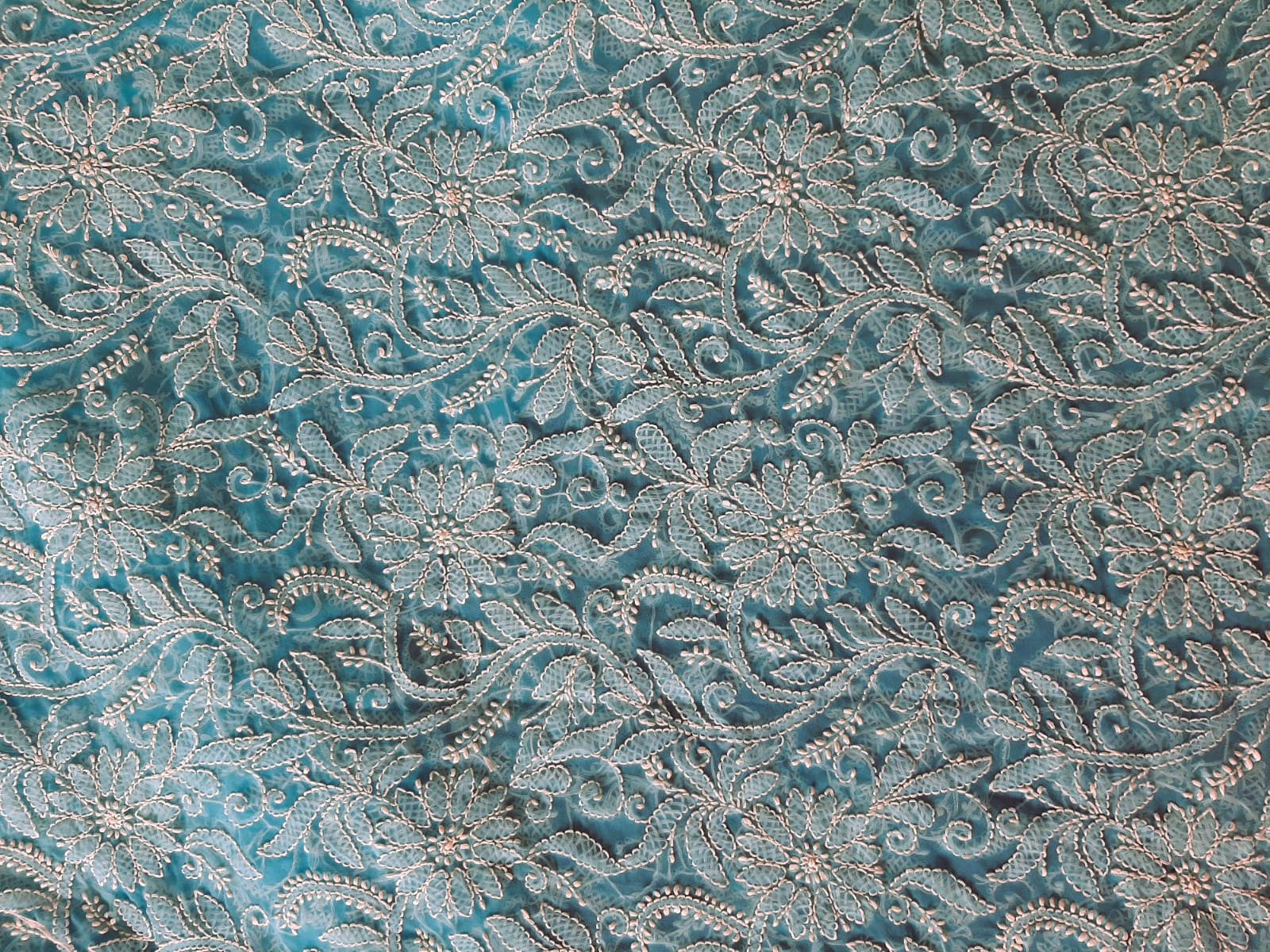 Sky Blue Noor Full Jaal Hand Embroidered Lucknowi Chikankari Saree