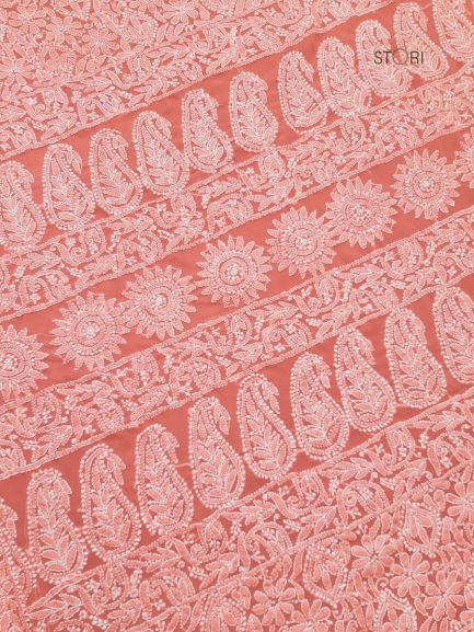 Carrot Pink Noor Full Jaal Hand Embroidered Lucknowi Chikankari Saree