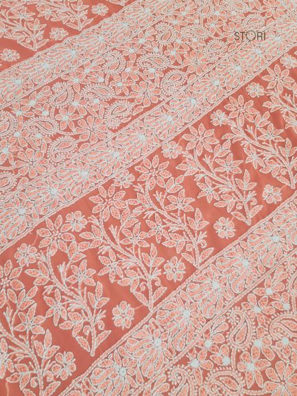 Carrot Pink Noor Full Jaal Hand Embroidered Lucknowi Chikankari Saree