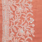 Carrot Pink Noor Full Jaal Hand Embroidered Lucknowi Chikankari Saree