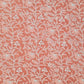 Carrot Pink Noor Full Jaal Hand Embroidered Lucknowi Chikankari Saree