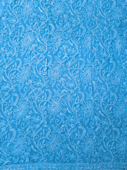 Sky Blue Full Jaal Hand Embroidered Lucknowi Chikankari Saree