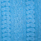 Sky Blue Full Jaal Hand Embroidered Lucknowi Chikankari Saree