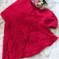 Hand Embroidered Georgette Lucknowi Chikankari Flared Palazzo - Red
