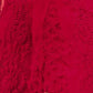 Hand Embroidered Georgette Lucknowi Chikankari Flared Palazzo - Red