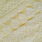 Lime Green Adah Half Jaal Hand Embroidered Lucknowi Chikankari Saree