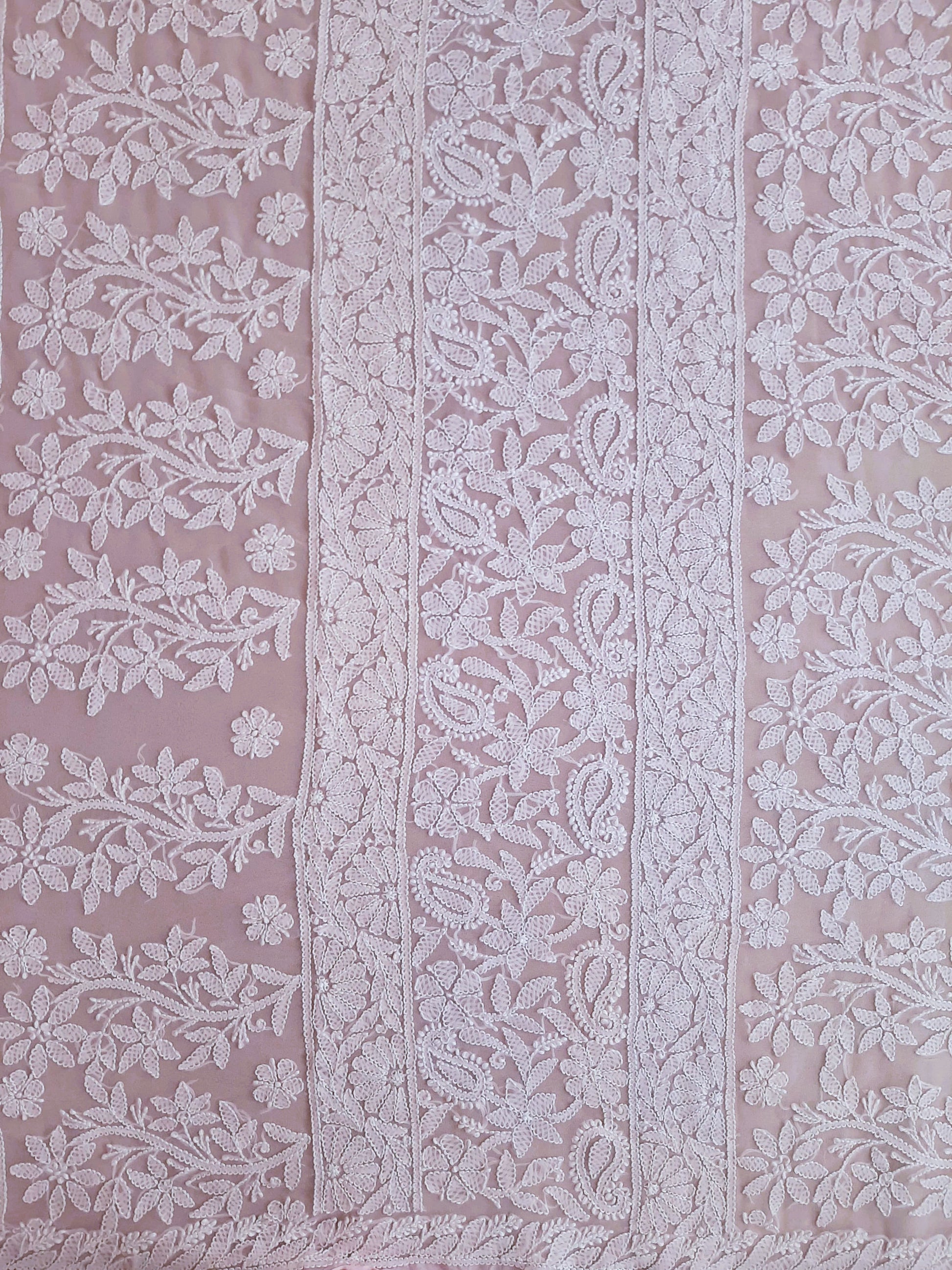 Baby Pink Noor Full Jaal Hand Embroidered Lucknowi Chikankari Saree