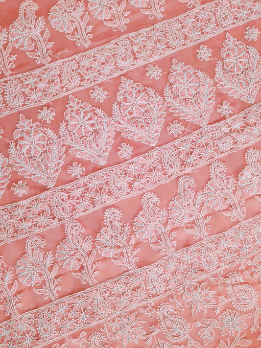 Carrot Pink Noor Full Jaal Hand Embroidered Lucknowi Chikankari Saree
