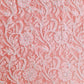 Carrot Pink Noor Full Jaal Hand Embroidered Lucknowi Chikankari Saree