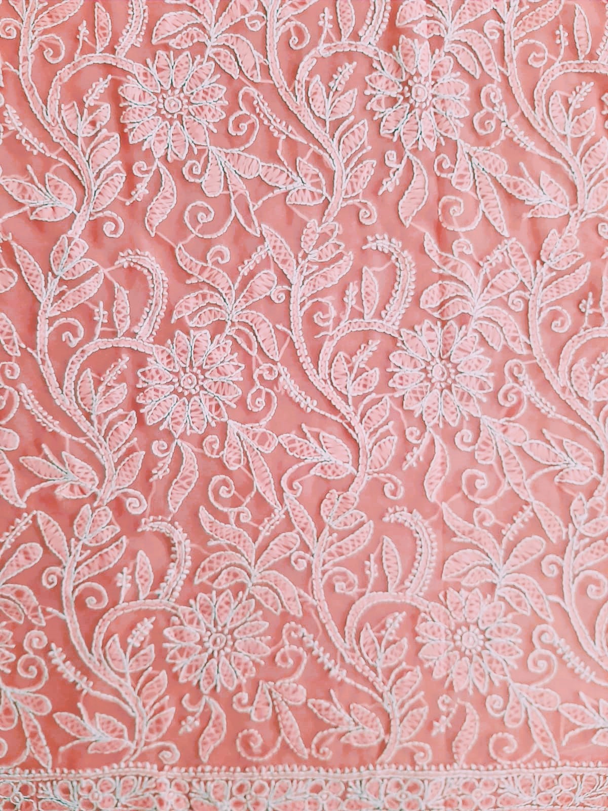 Carrot Pink Noor Full Jaal Hand Embroidered Lucknowi Chikankari Saree