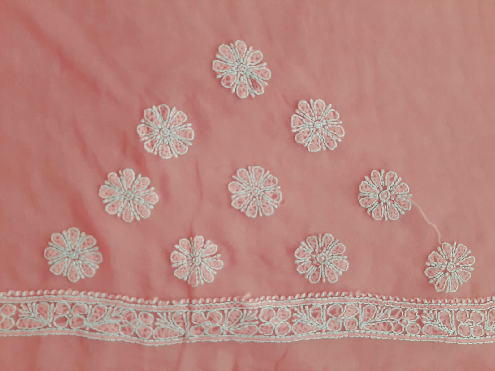 Carrot Pink Noor Full Jaal Hand Embroidered Lucknowi Chikankari Saree