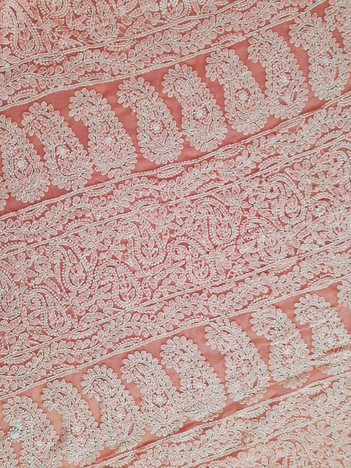 Carrot Pink Noor Full Jaal Hand Embroidered Lucknowi Chikankari Saree